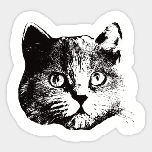 British Longhair gift for British Longhair Cat Owners Sticker